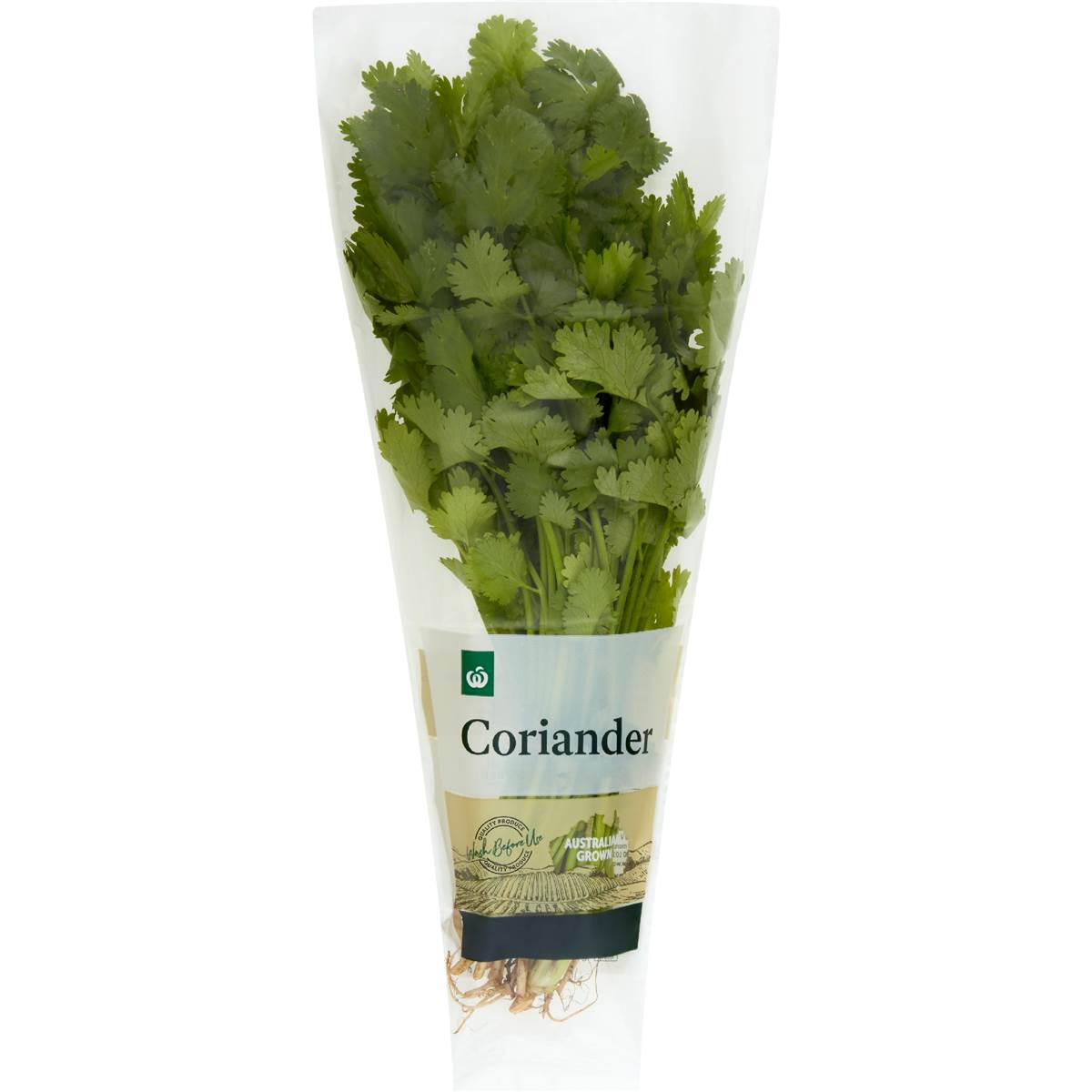 Coriander Fresh Herb Woolworths
